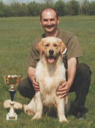 Golden Retriever