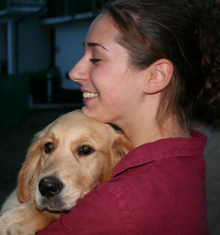 Golden Retriever