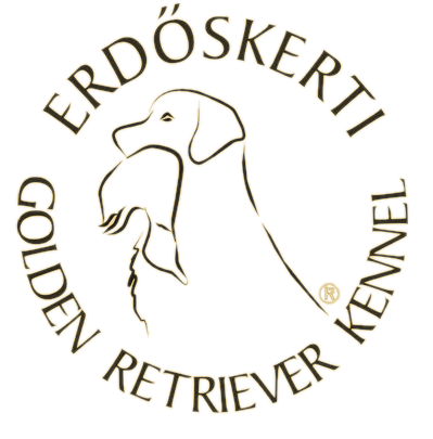 Erdõskerti Golden Retriever Kennel