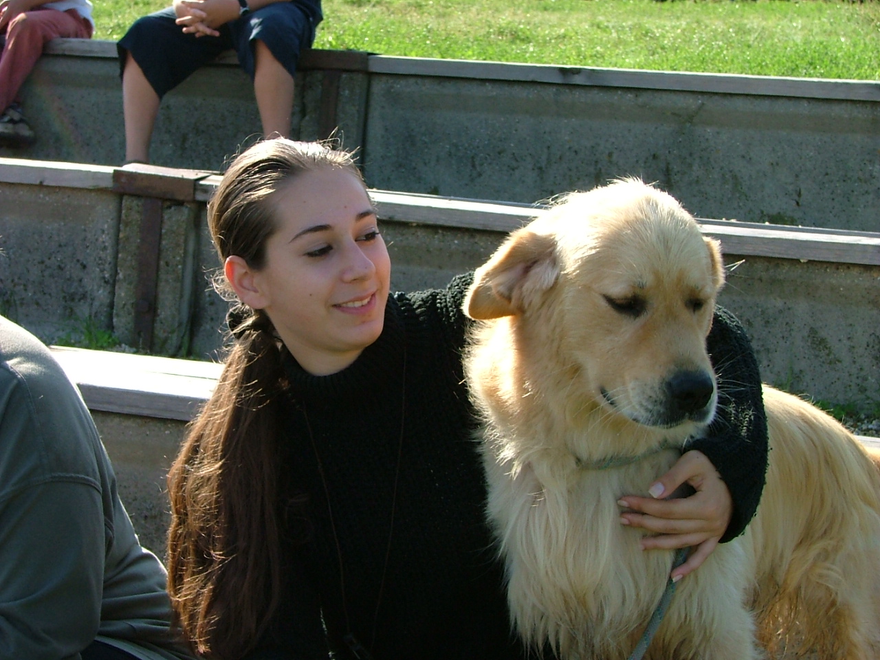 Golden Retriever