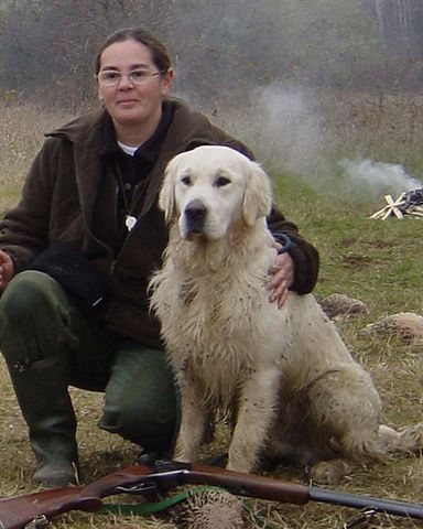 Golden Retriever